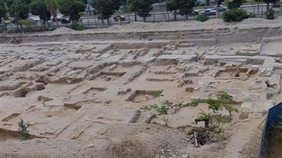 كنز للدولة والباحثين.. معلومات جديدة حول المنطقة الأثرية المُكتشفة أسفل أرض كلية العلوم بالإسكندرية