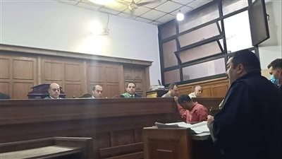 إحالة أوراق المتهم بقتل الطفلة علياء في الدقهلية إلى المفتي