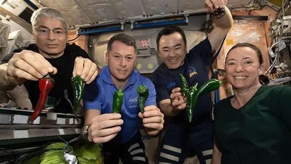 مركبة فضائية 