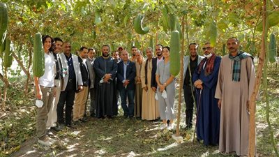 جامعة سوهاج تكرم 18 مزارع لوف لحصولهم على شهادة الممارسات الزراعية الجيدة | صور