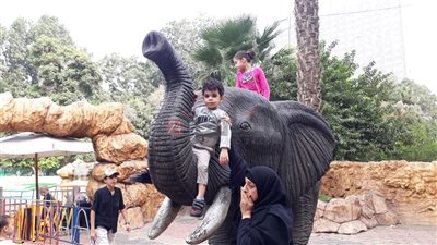 أبرزها الفيل.. قصص 7 حيوانات مهددة بالانقراض داخل حديقة الجيزة