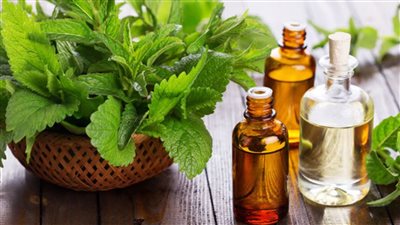 الشاي الأخضر وأزهار الزيزفون.. علاج الصداع في المنزل بالأعشاب