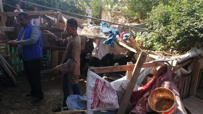  إزالة 17 حظيرة طيور بمدينة العاشر من رمضان | صور