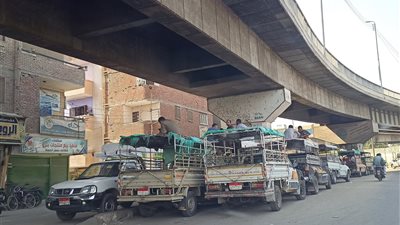 مواقف سيارات المنيا صداع لا ينتهي.. عشوائية أسفل الكباري ووسط الشوارع ومشاجرات لا تتوقف │ صور