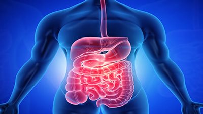  نصائح لتعزيز صحة الجهاز الهضمي بعد الإصابة بفيروس كورونا