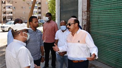 محافظ أسوان يتفقد منطقة المحمودية ويحيل صاحب تعدي بمنطقة الشلال إلى النيابة