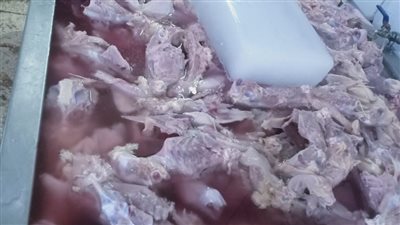 ضبط 8.6 طن دواجن ومشتقاتها غير صالحة للاستخدام الآدمي ببشتيل