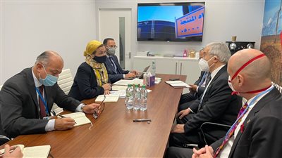 وزيرة البيئة تلتقي رئيس معهد أبحاث جرانثام LSE بجامعة أكسفورد