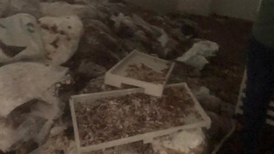 صحة القليوبية تضبط 2 طن حلوى فاسدة داخل مخزن غير مرخّص بقها