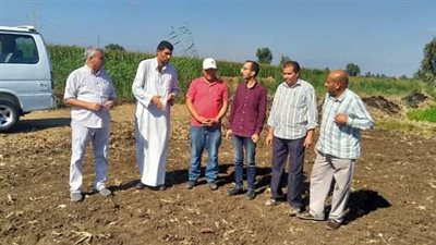 زراعة كفر الشيخ: متابعة وتجهيز الحقول الإرشادية لمحصول القمح ضمن فعاليات ترشيد استخدام المياه