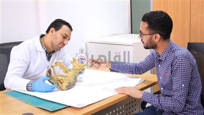 مدير مخزن المومياوات: حنطنا ثعلبا عمره 1400 عام ونستطيع تحنيط جسم الإنسان.. ونعرف أسرارًا كثيرة عن القدماء| حوار
