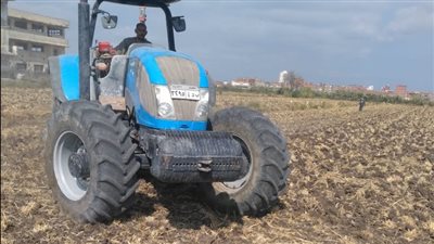 زراعة 5 آلاف فدان قمح من المحصول المستهدف بالبحيرة