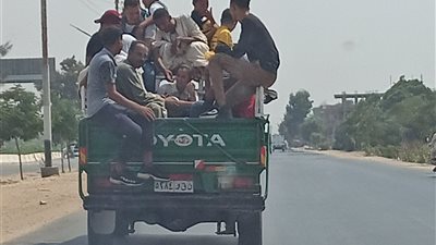 سيارات الماشية والبضائع لركوب المواطنين بالمنيا | صور