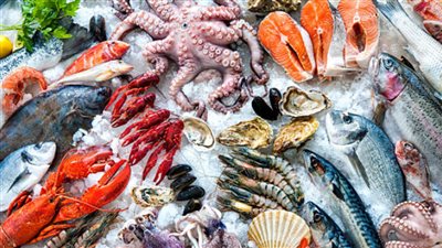 ما بين الاستقرار والارتفاع.. تعرف على أسعار الأسماك اليوم الخميس 11-11-2021