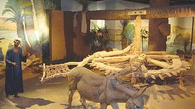 متحف النوبة تحفة معمارية بأسوان ويضم جمجمة بشرية توضح أقدم عملية تربنة فى التاريخ