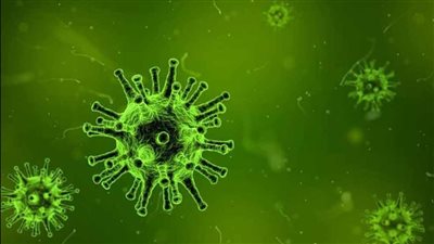 دراسة جامعية: نزلات البرد تقي من الإصابة بـ فيروس كورونا المستجد