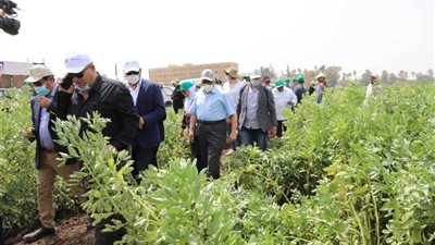 المعمل المركزي لبحوث الحشائش ينظم دورة تدريبية تحت عنوان الطرق الحديثة في مكافحة الحشائش 