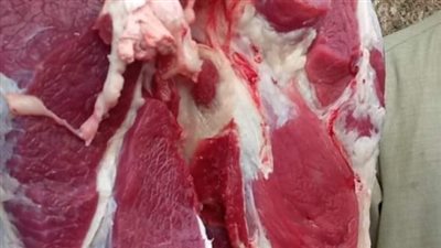 ضبط لحوم مذبوحة خارج المجزر الحكومي وجزارين غير معلنين أسعار اللحوم في الفيوم