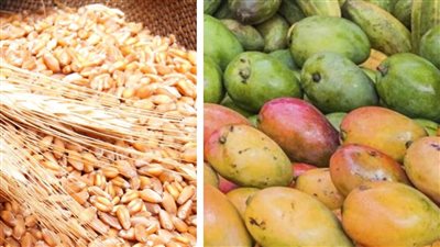 خبيرة دولية تكشف خطورة التغيرات المناخية وتوضح: غير مستعدين لاستيعاب نوبات اضطراب الطقس 