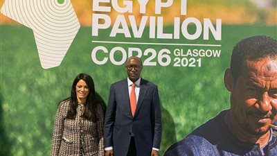 التعاون الدولي: إعداد استراتيجية لـ5 سنوات مقبلة لدعم جهود الدولة التنموية في مختلف المجالات