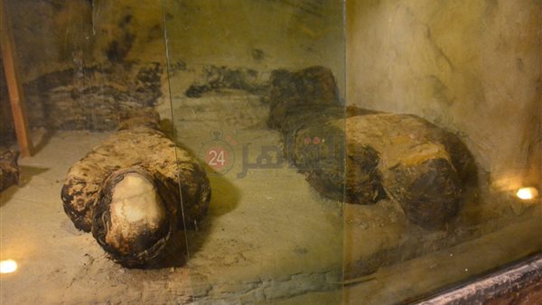 المومياوات 