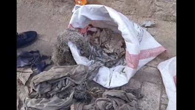 حملة تطهير للمقابر بالمحمودية.. وأحد الأهالي: لقينا 7 أعمال في منطقة واحدة