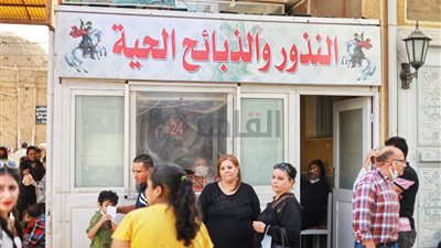 زوار دير مارجرجس الرزيقات يقدمون النذور والماشية في الأقصر | صور