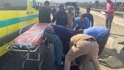 مصرع شخص وإصابة 3 آخرين في حادث تصادم سيارة بكارو بكفر الشيخ