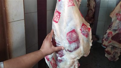 ذبحوا خارج المجزر وأخفوا الأسعار.. ضبط 18 جزارا مخالفا في الفيوم | صور