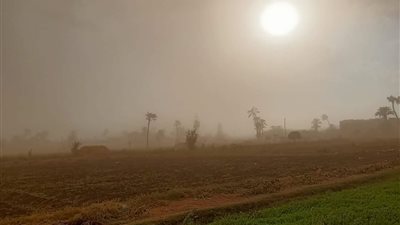 رياح محملة بالأتربة تضرب قنا.. والمحافظة تحذر| صور