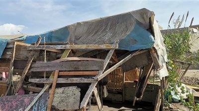 إزالة 225 حالة تعدٍ على أملاك الدولة بالدقهلية ضمن الموجة 18