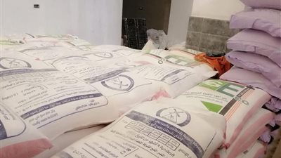 ضبط مواد غذائية مجهولة المصدر وموزع أنابيب غاز مخالف في حملة تموينية بالدقهلية |صور 