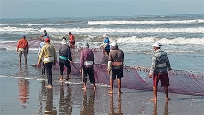 نقيب الصيادين يحذر: الرياح تصل سرعتها إلى 45 عقدة.. والخروج للبحر سيكون خطرا