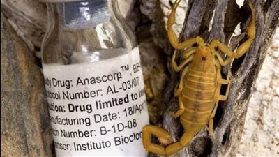 أمصال للعقارب.. استعدادات وزارة الصحة لمواجهة موجة الطقس السيئ