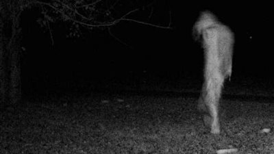 داعية إسلامي: الحديث عن سرقة الجن الإنسان باطل وخرافات