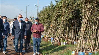 محافظ القليوبية يتفقد أعمال تنفيذ مشروعات في بنها وشيرل الخيمة | صور 