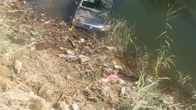 مصرع مسن إثر انقلاب سيارة ملاكي في إحدى الترع بالدقهلية | صور