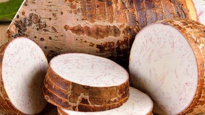 من بينهم تعزيز صحة العين.. تعرف على فوائد القلقاس 