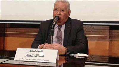 أستاذ شريعة بالأزهر: السكن والمودة هما غاية الحياة الأسرية