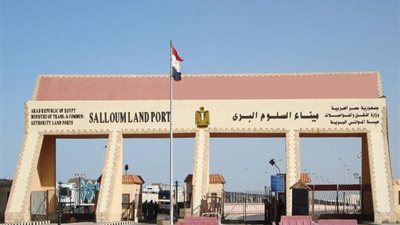 داخل حاوية شتلات.. إحباط تهريب أدوية بـ 18 مليون جنيه في ميناء السلوم