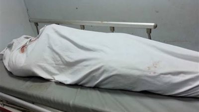 مقتل حداد بطلق ناري في الدقهلية.. والنيابة تبدأ التحقيق