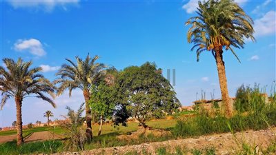 طقس الفيوم الاثنين.. اعتدال في درجات الحرارة نهارًا مائل للبرودة ليلًا