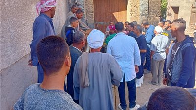 بحوث التناسليات ينظم مجموعة من القوافل البيطرية إلى قري جنوب مصر 