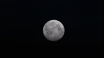 البحوث الفلكية: القمر سيكون في ذروة لمعانه غدًا