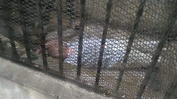 إغماء المتهم