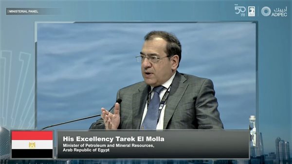 وزير البترول - طارق