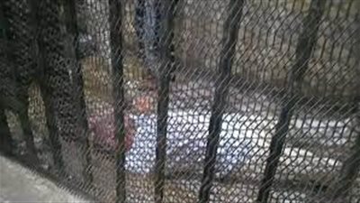 أبرز المحطات في قضية هتك عرض طفلة على يد إمام مسجد بالدقهلية 