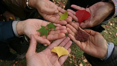 اليوم العالمي للتسامح.. بهذه الطريقة تخلص من رغبة الانتقام بعد التعرض لضرر
