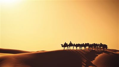 في اليوم العالمي للتسامح.. كيف عفا عمر بن الخطاب عن الحطيئة بأبيات من الشعر؟