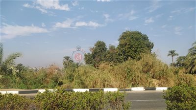 أجواء باردة.. استقرار الأحوال الجوية في الأقصر | صور